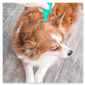 TikTok clip: Vtuber reaction moment