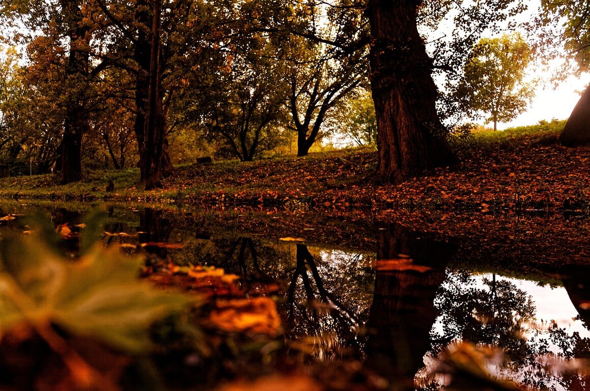 Cozy build stream recap